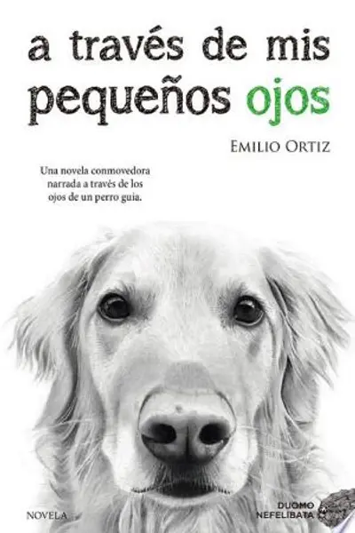 A través de mis pequeños ojos