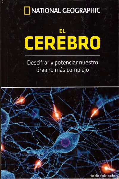 El cerebro. Descifrar y potenciar nuestro órgano más complejo