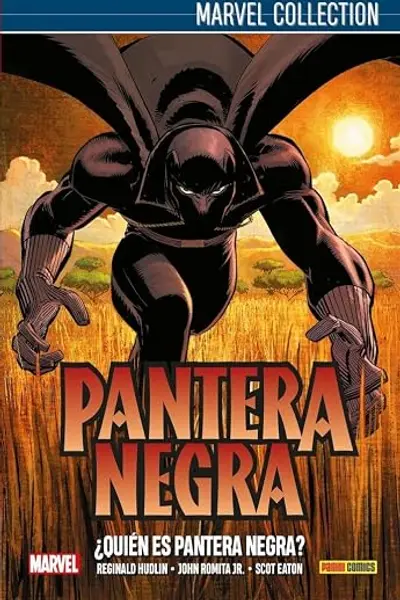 Pantera Negra: ¿Quién es Pantera Negra?