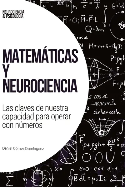 Matemáticas y neurociencia: las claves de nuestra capacidad para operar con números
